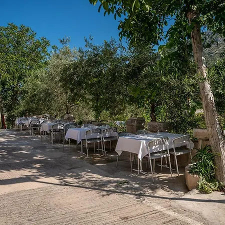 Pansion Maison d'hôtes